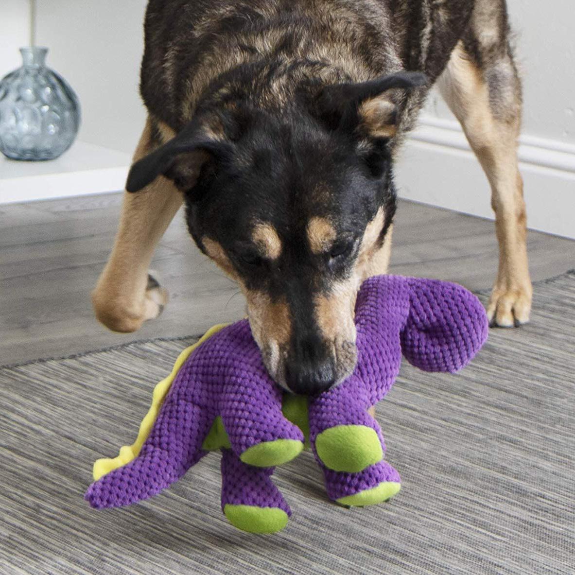 checkers dog toys