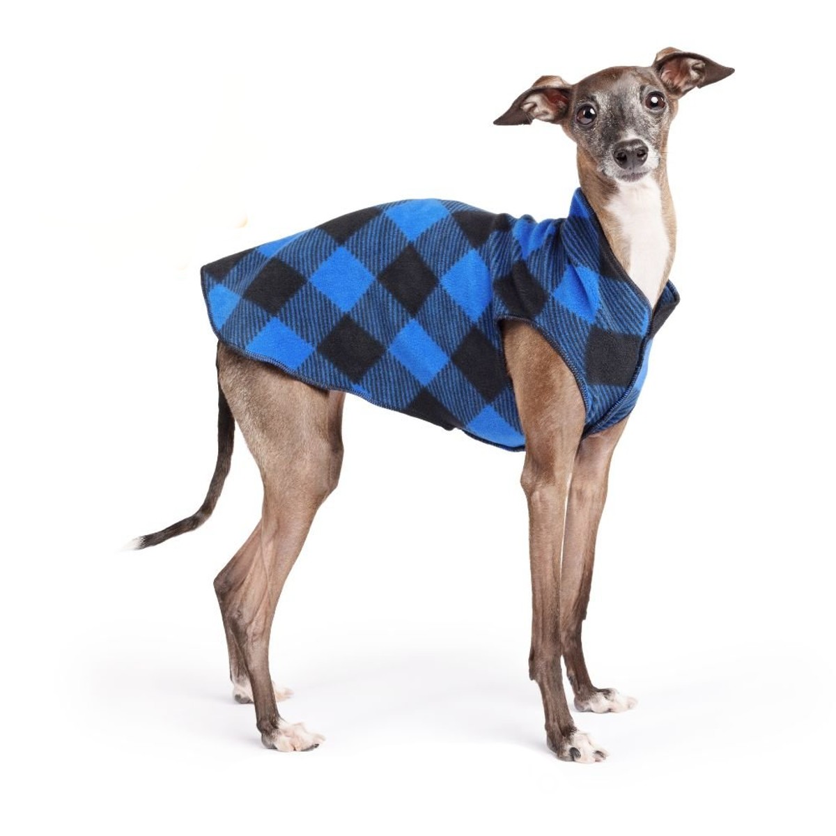 Gold Paw Fleece Dog Jacket - Cobalt Buffalo Check