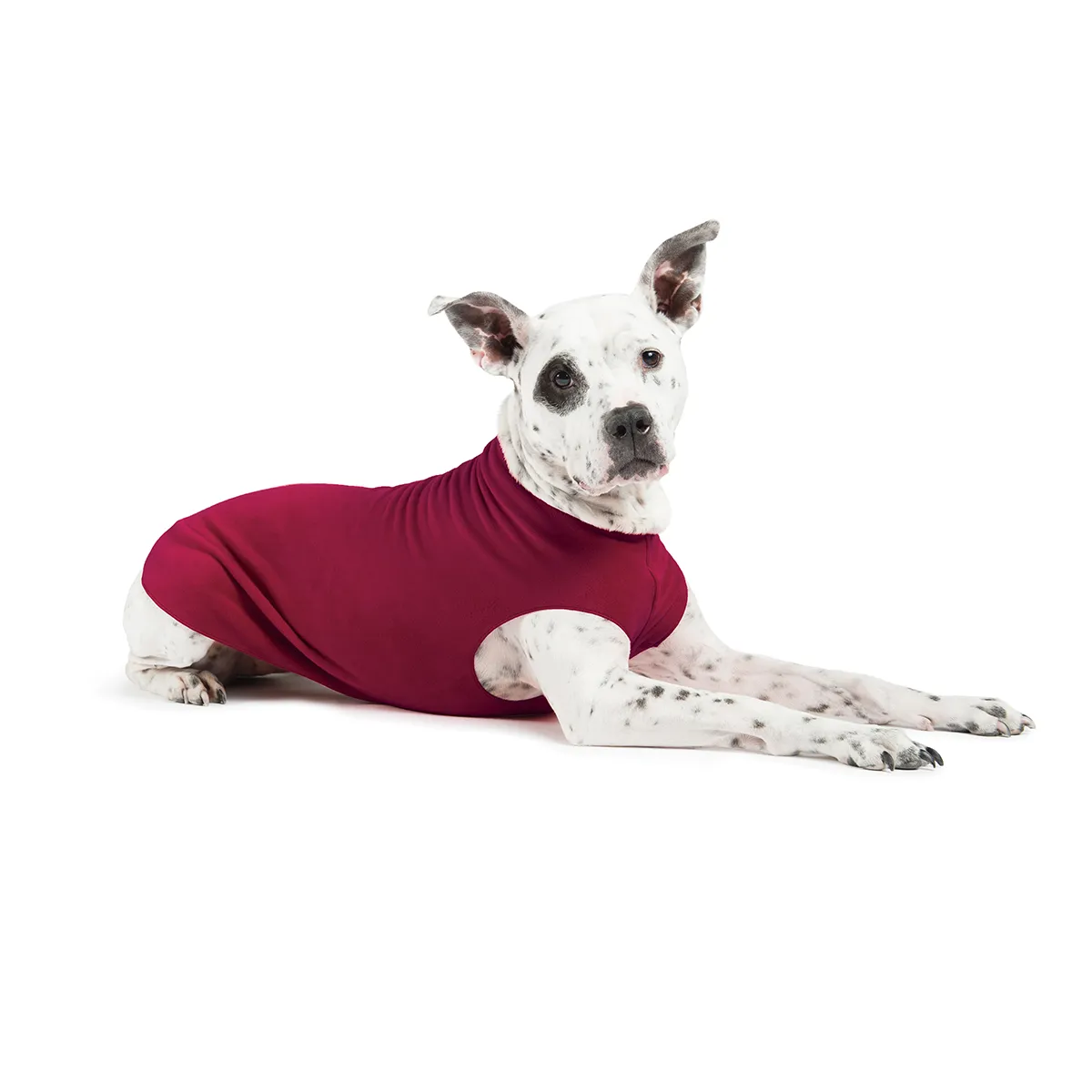 Gold Paw Fleece Dog Jacket - Garnet