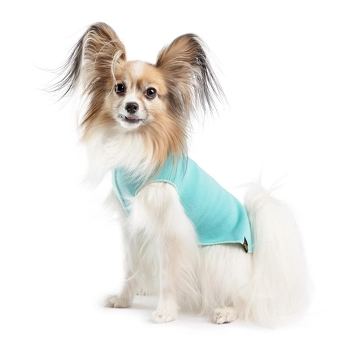 Gold Paw Fleece Dog Jacket - Turquoise