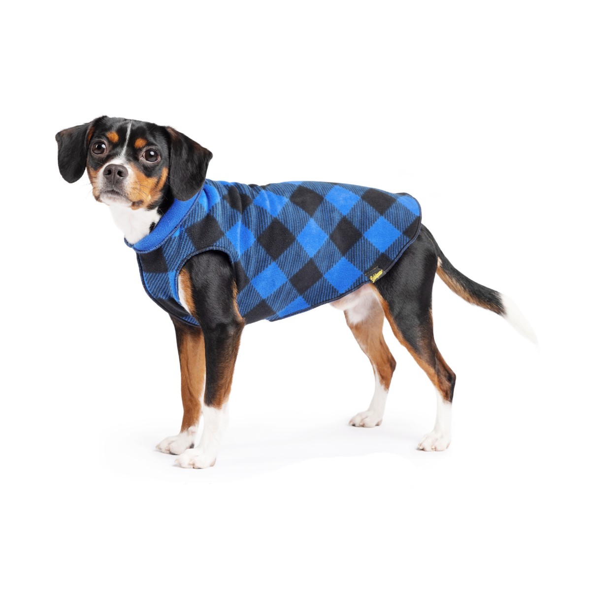 Gold Paw Reversible Double Fleece Dog Jacket - Blue Buffalo and Cobalt