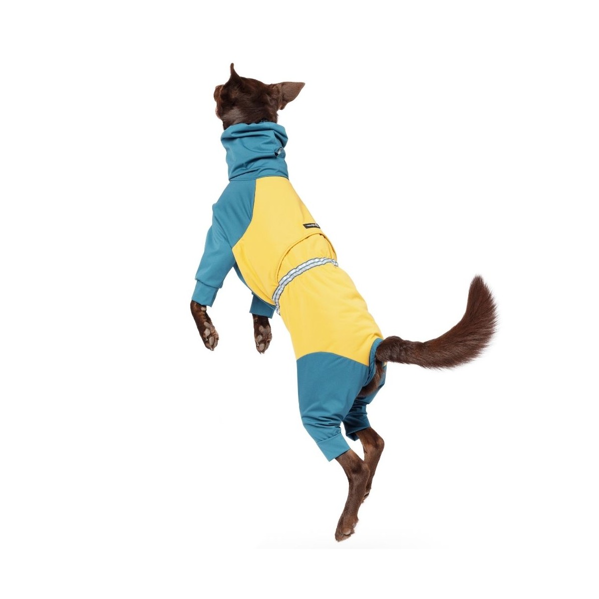 Gold Paw Ski Suit Dog Jumpsuit - Lagoon/Gold