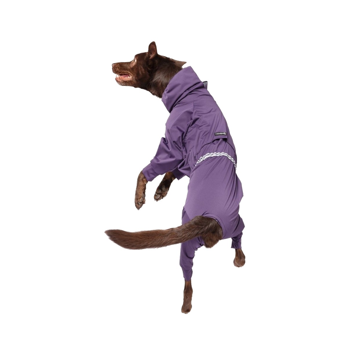 Gold Paw Flight Suit Dog Jumpsuit - Huckleberry