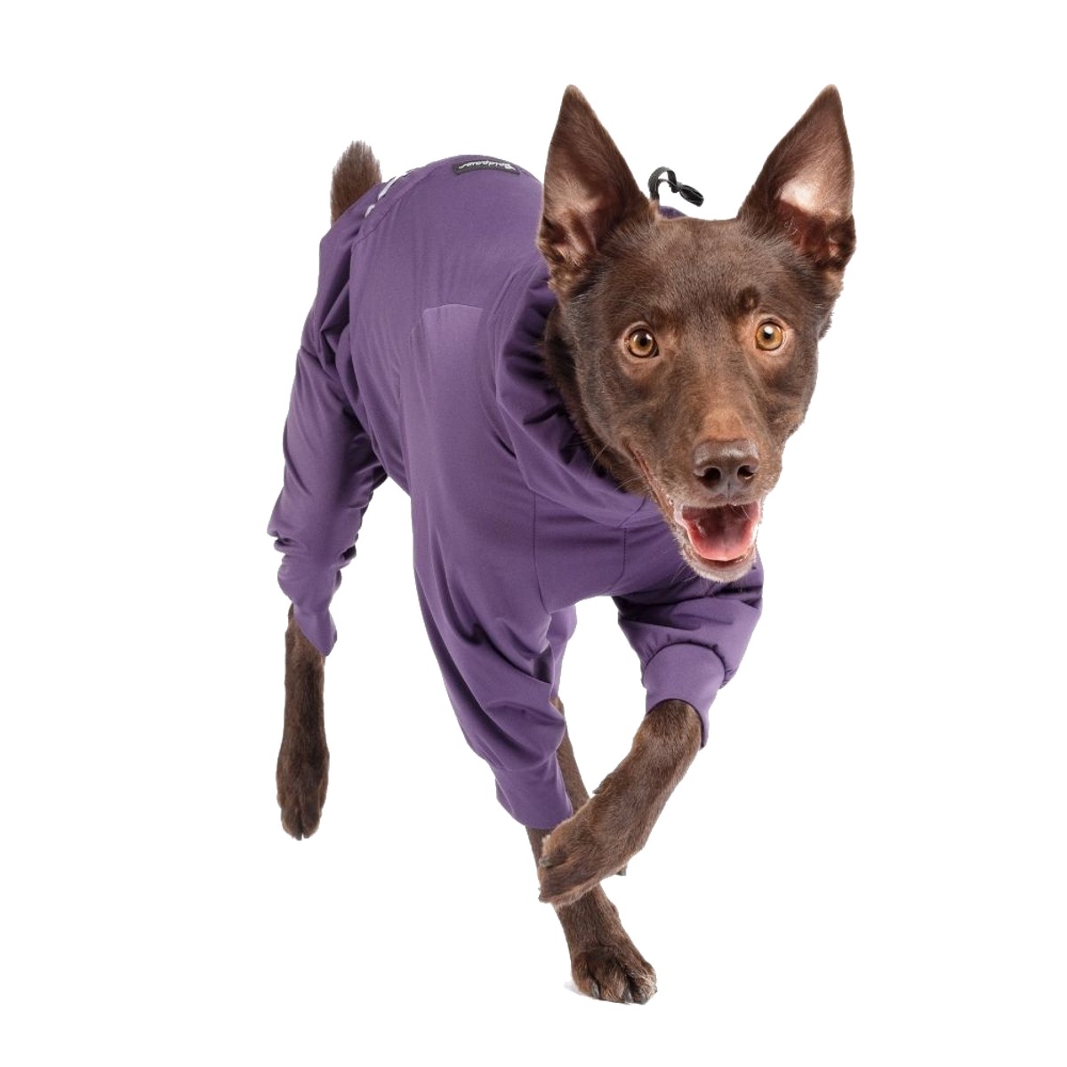 Gold Paw Flight Suit Dog Jumpsuit - Huckleberry