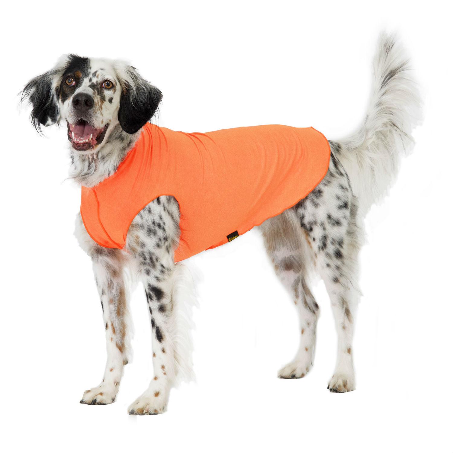 Gold Paw Sun Shield Dog Shirt - Neon Orange