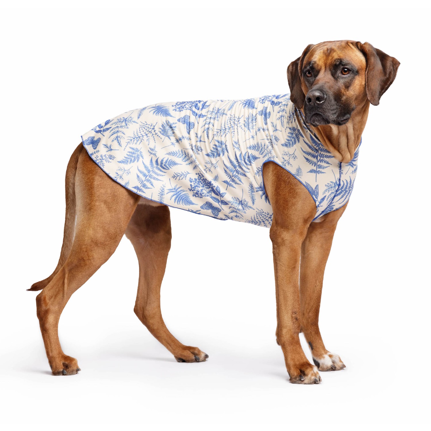 Gold Paw Sun Shield Dog Shirt - Acadia Print - Limited Edition