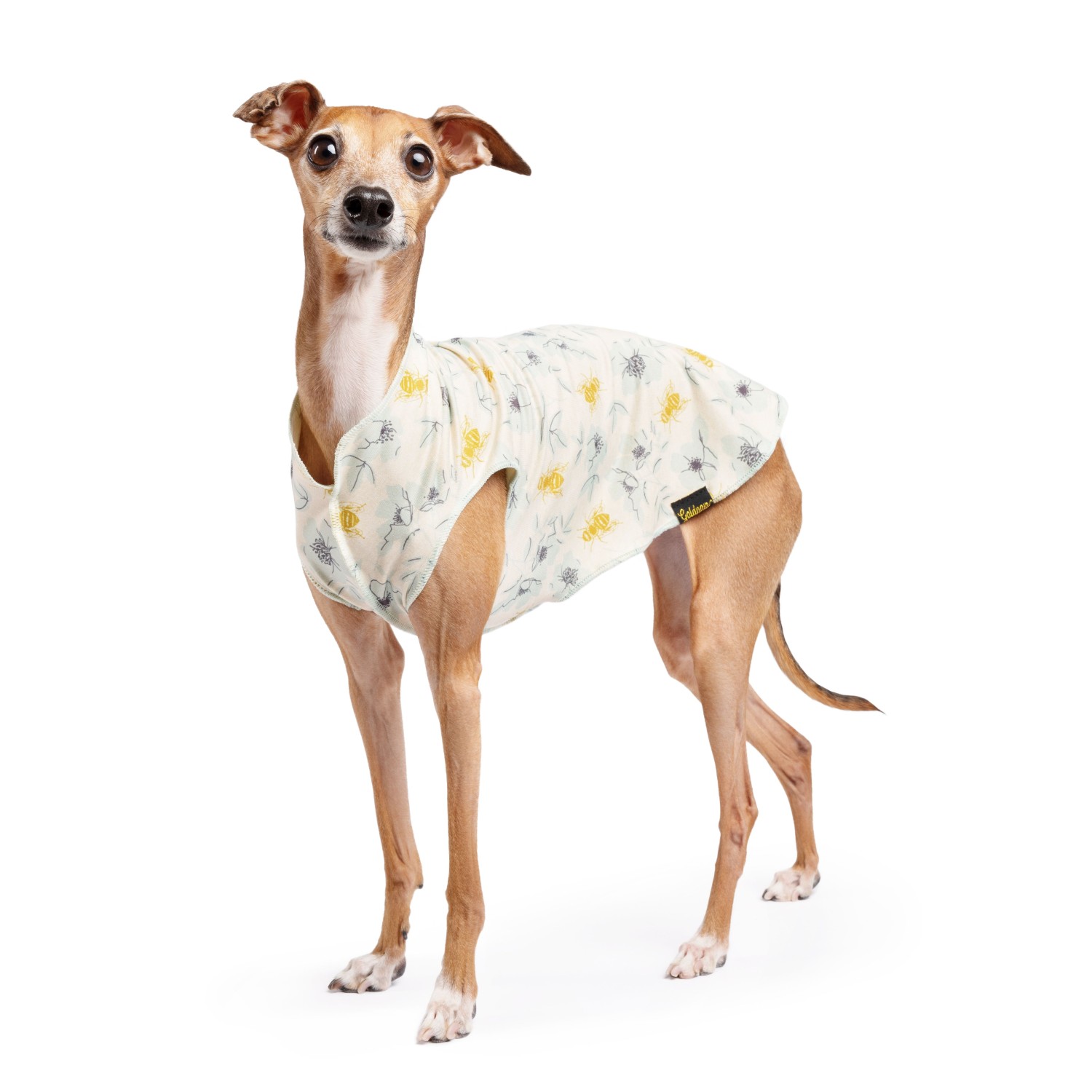 Gold Paw Sun Shield Dog Shirt - Vintage Bees - Limited Edition