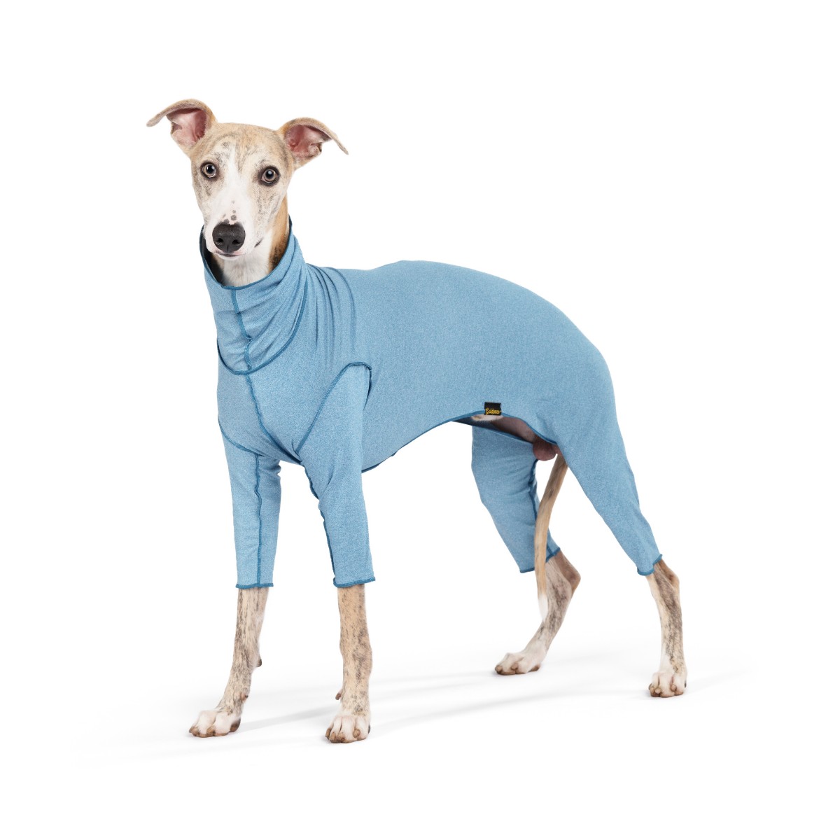 Gold Paw Sunsie Shield Dog Onesie - Ocean Blue