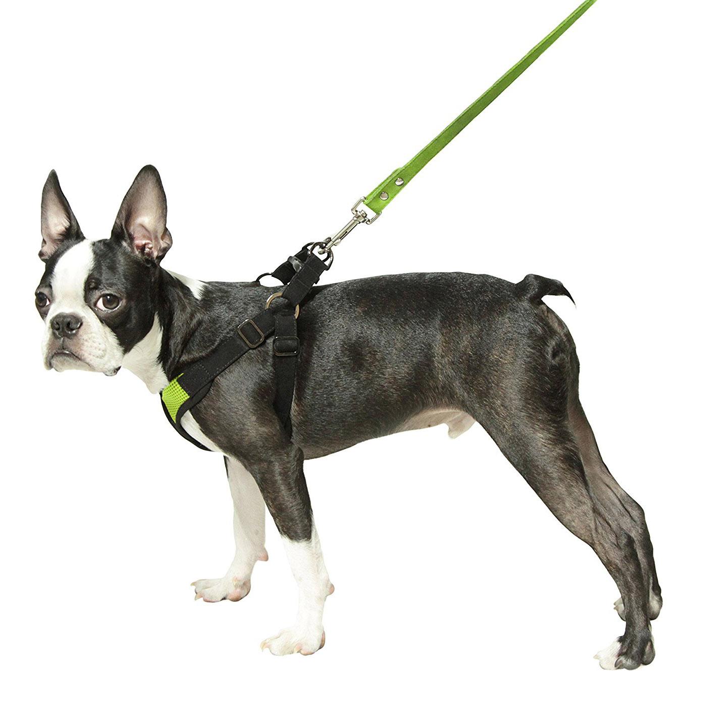 Gooby Comfort X Step-In Dog Harness - Lime Gr... | BaxterBoo