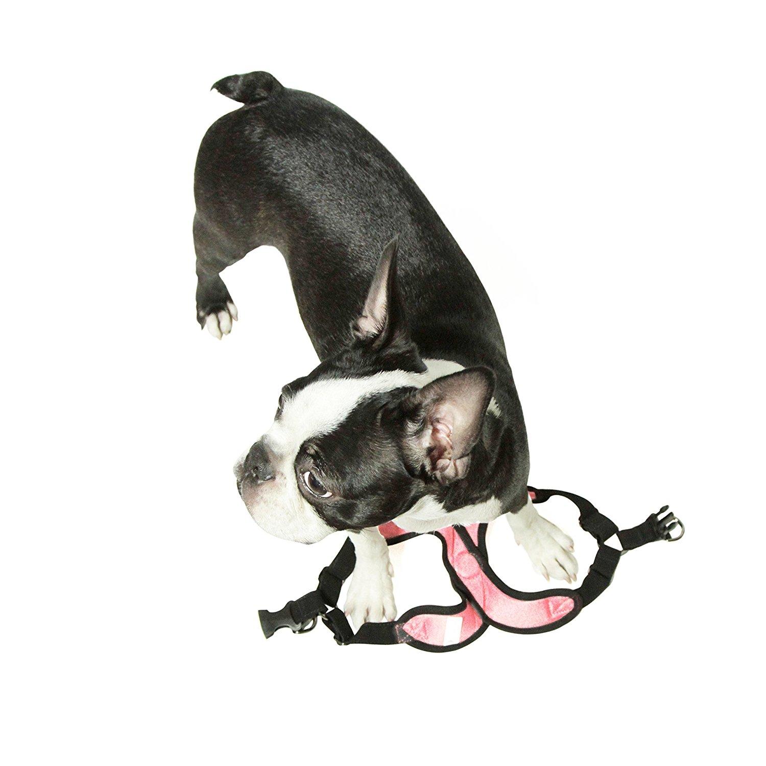 Gooby Comfort X Step-In Dog Harness Pink BaxterBoo