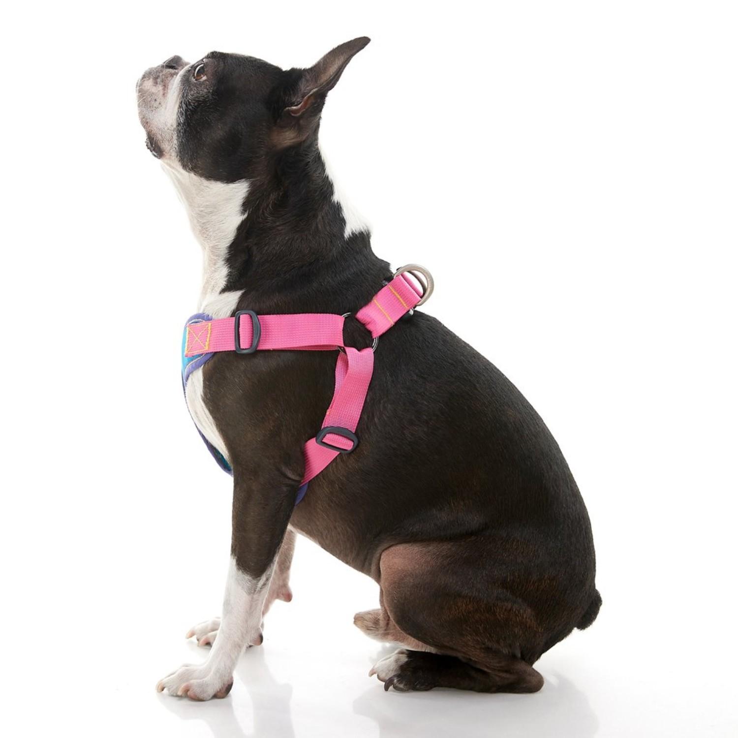 Gooby Comfort X V2 Step-In Dog Harness - Turq... | BaxterBoo