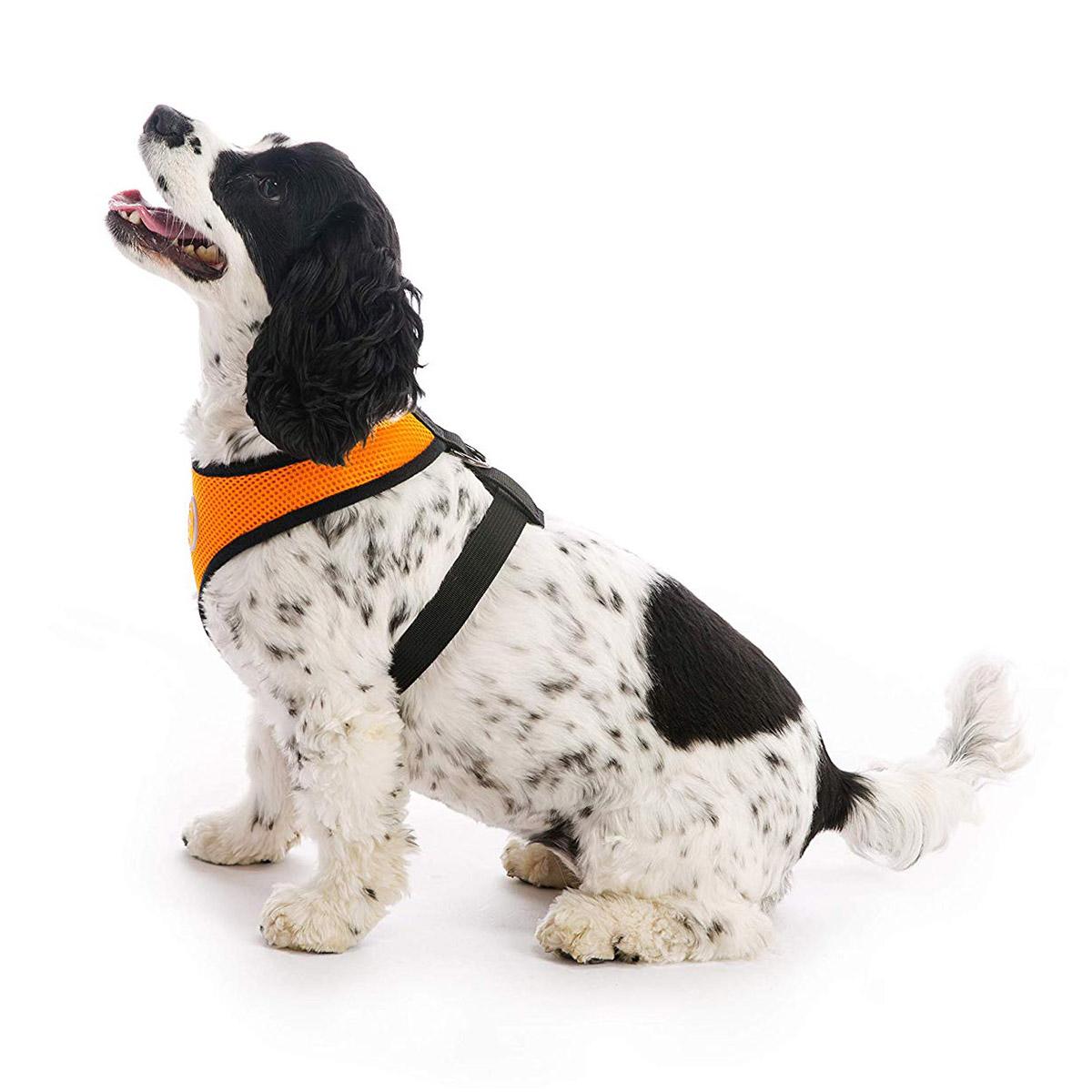 Gooby Soft Mesh Dog Harness - Orange | BaxterBoo