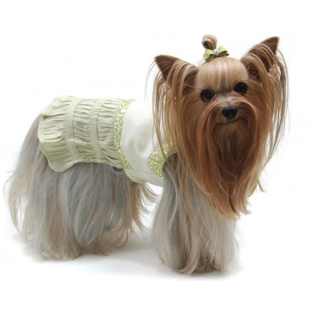 Oscar Newman Green with Envy Dog Dress | BaxterBoo