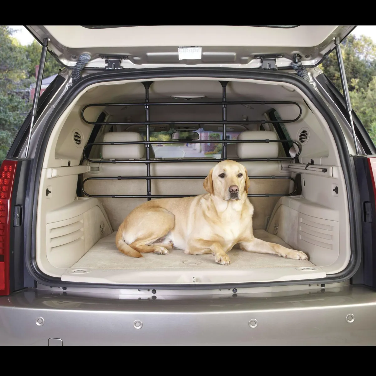 Guardian Gear Vehicle Pet Barrier - Black