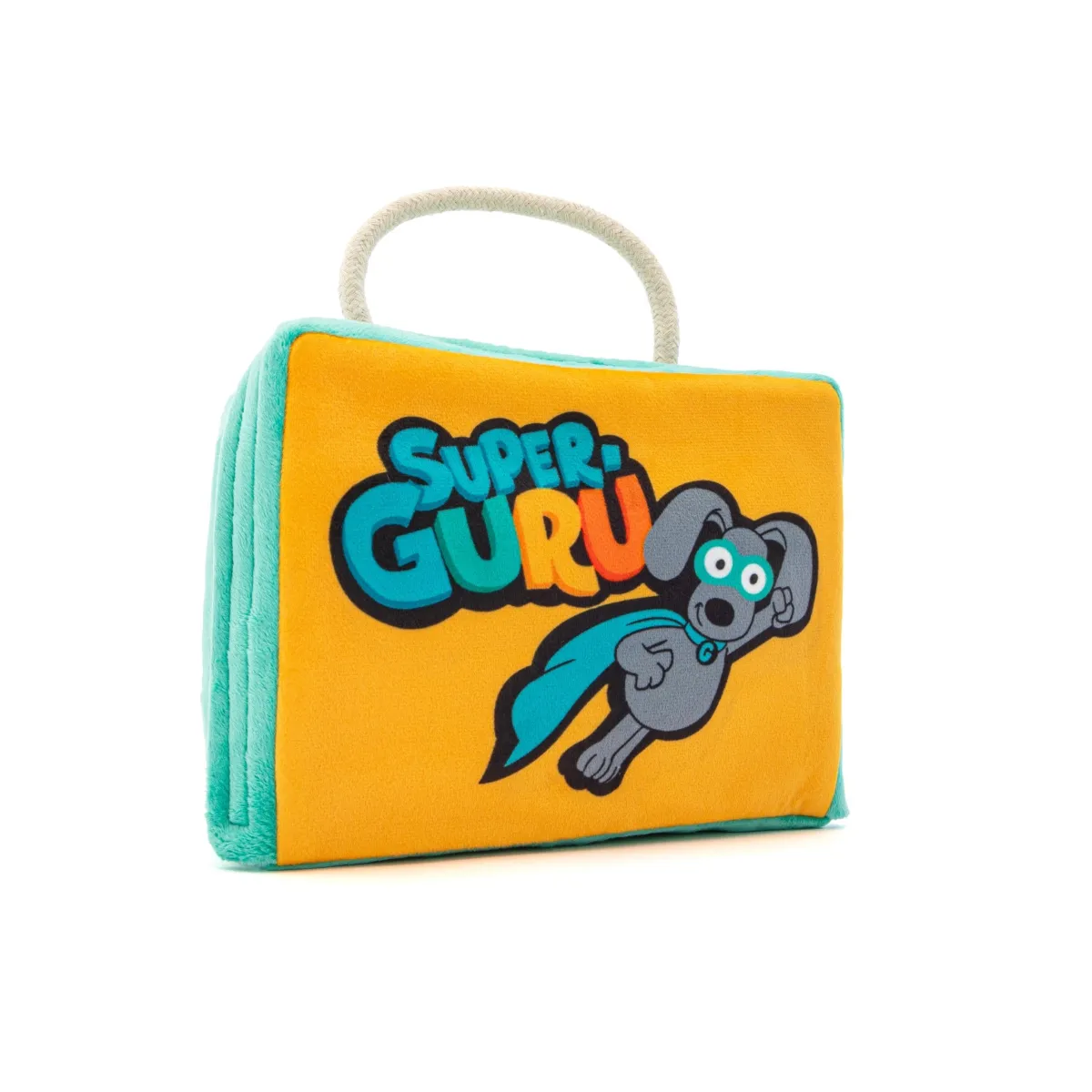 GURU Super Fun Box Dog Toy