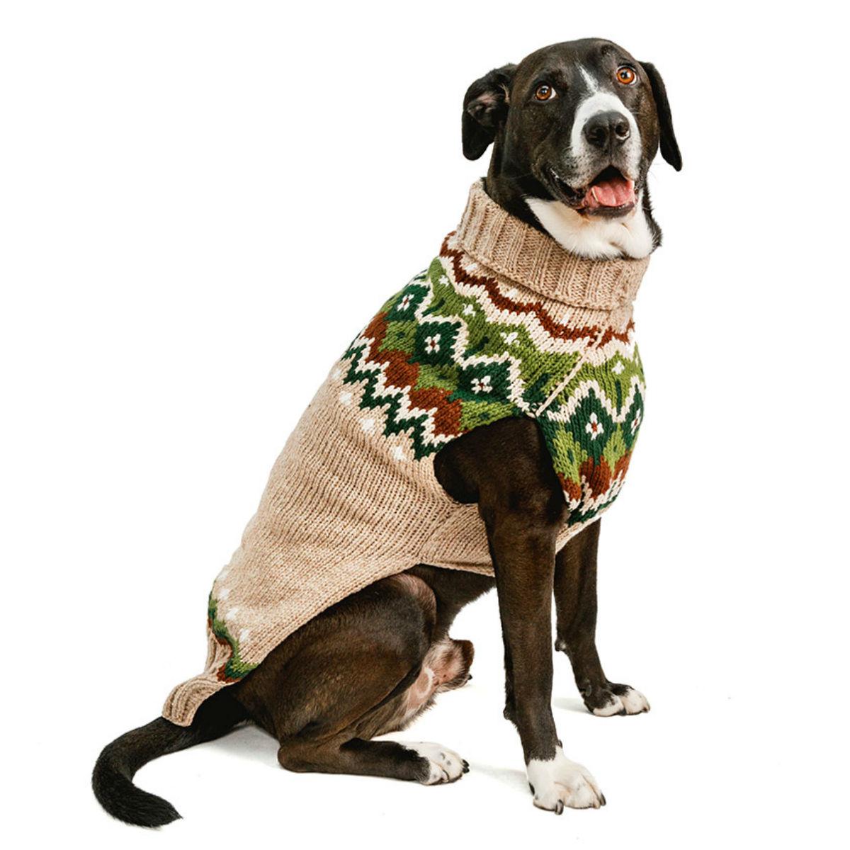 Chilly Dog Handmade Fair Isle Ragg Wool Dog S... | BaxterBoo