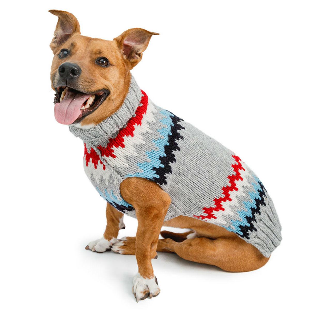 Dog Sweaters | BaxterBoo