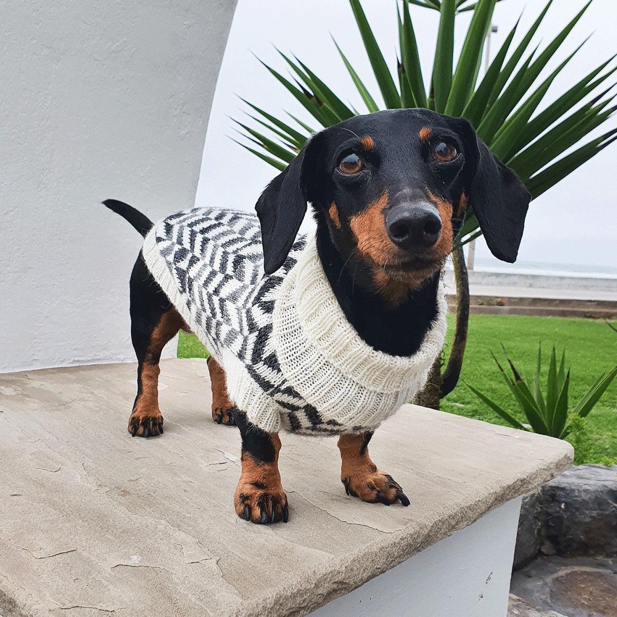 Alqo Wasi Herringbone Alpaca Dog Sweater - Gray