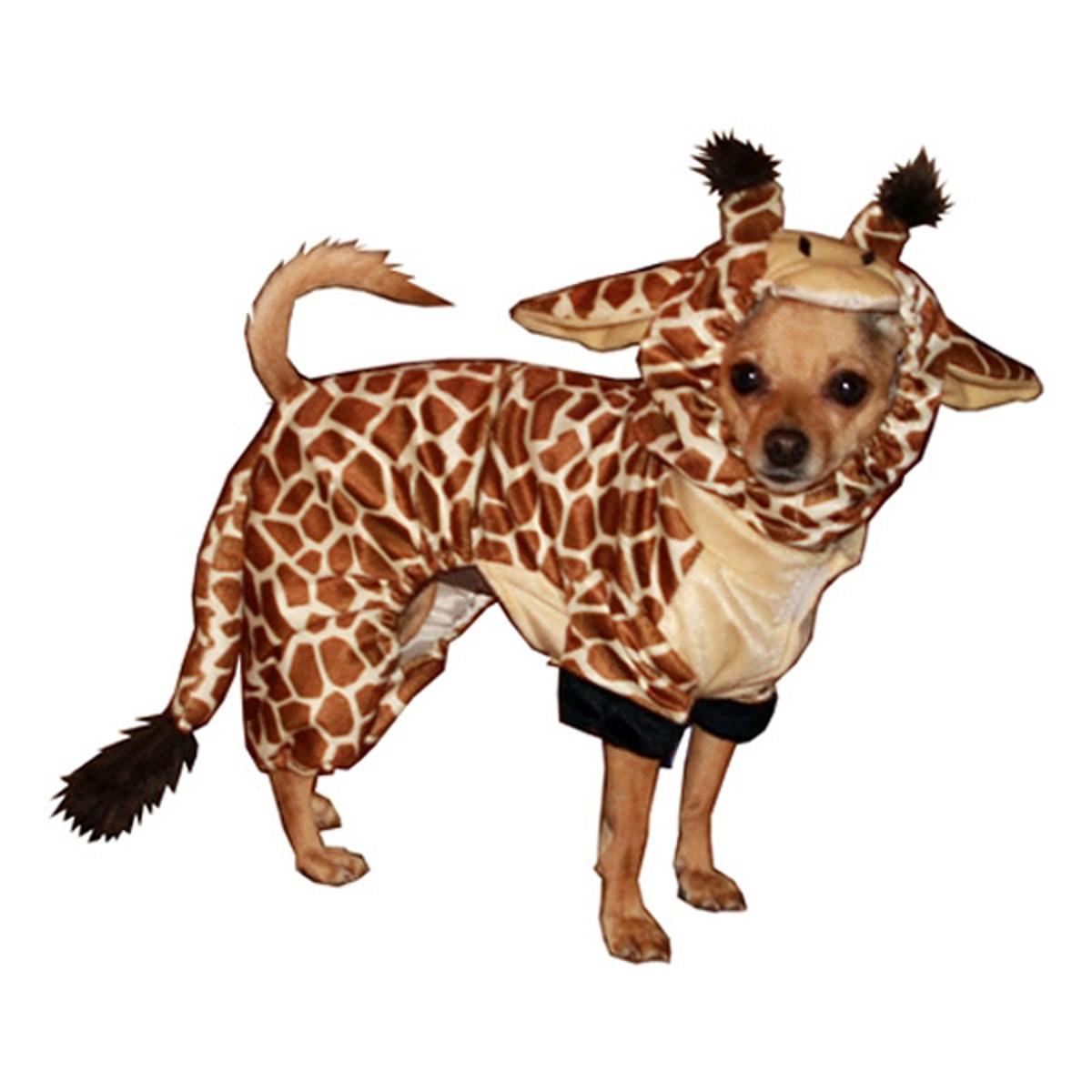 Hip Doggie Halloween Dog Costume - Giraffe