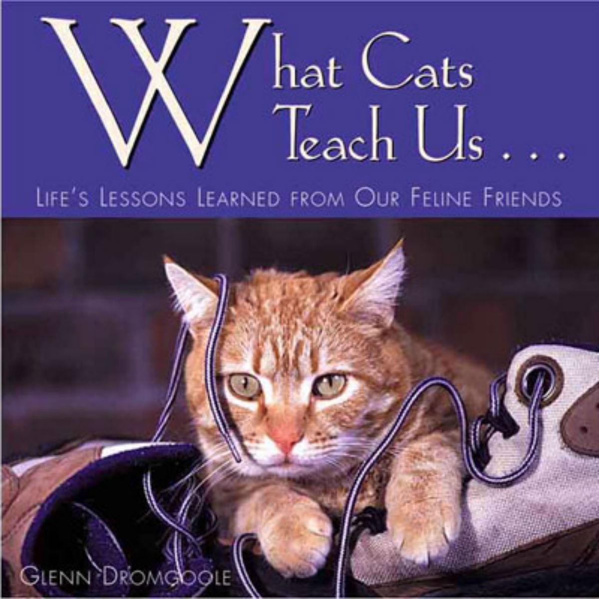 What Cats Teach Us Book for Humans; Life's Lessons Learned form Our Feline Friends