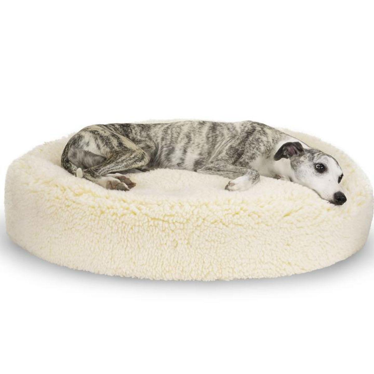 HuggleHounds HuggleFleece Pouf Dog Bed - Crea... | BaxterBoo