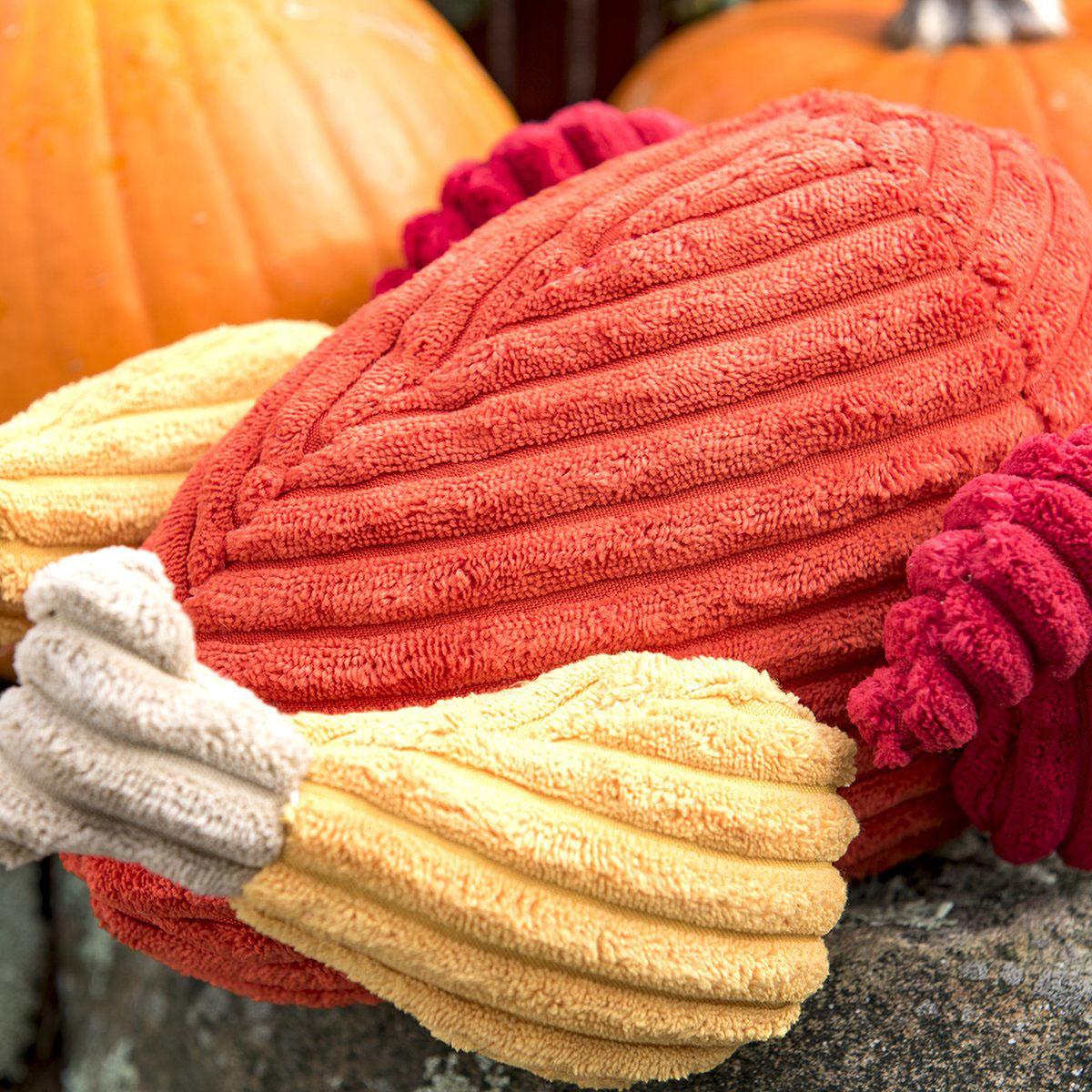 HuggleHounds Thanksgiving Plush Turkey Dog To... | BaxterBoo 