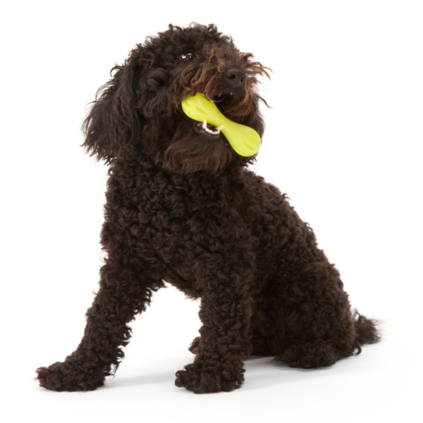 West Paw Hurley Dog Toy - Green