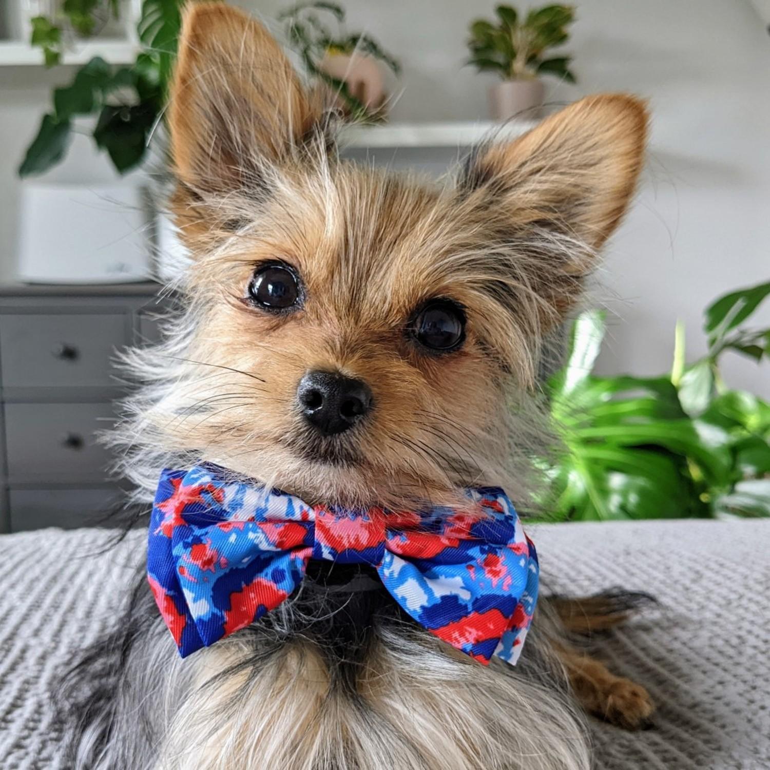 PET SHOW Pack of 10pcs Plaid Large Dogs Collar Attachment Bow Ties Embellishment Medium Dog Puppies Cats Collar Charms Accessories Bulk Slides Bowties for Birthday Wedding Parties 