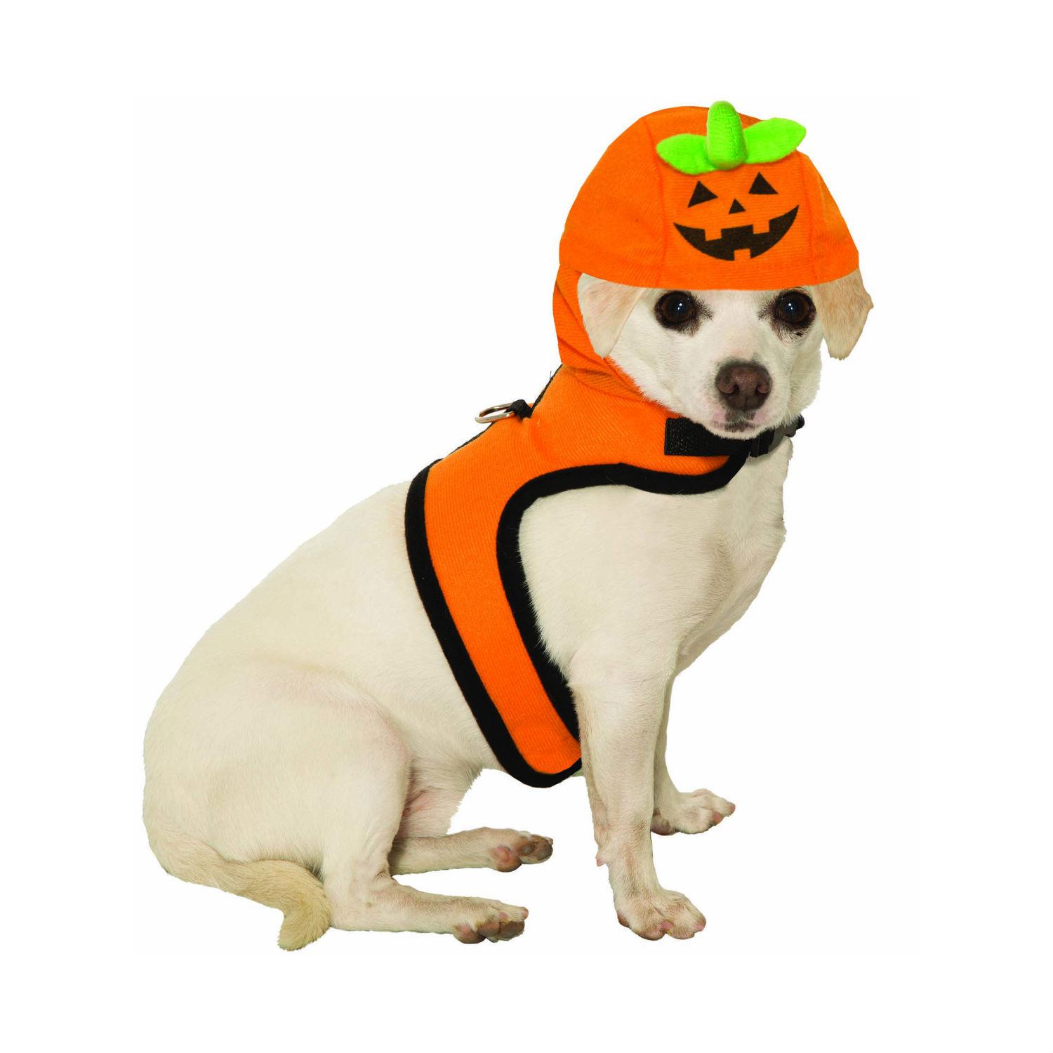 Jack-A-Lantern Dog Harness Costume | BaxterBoo