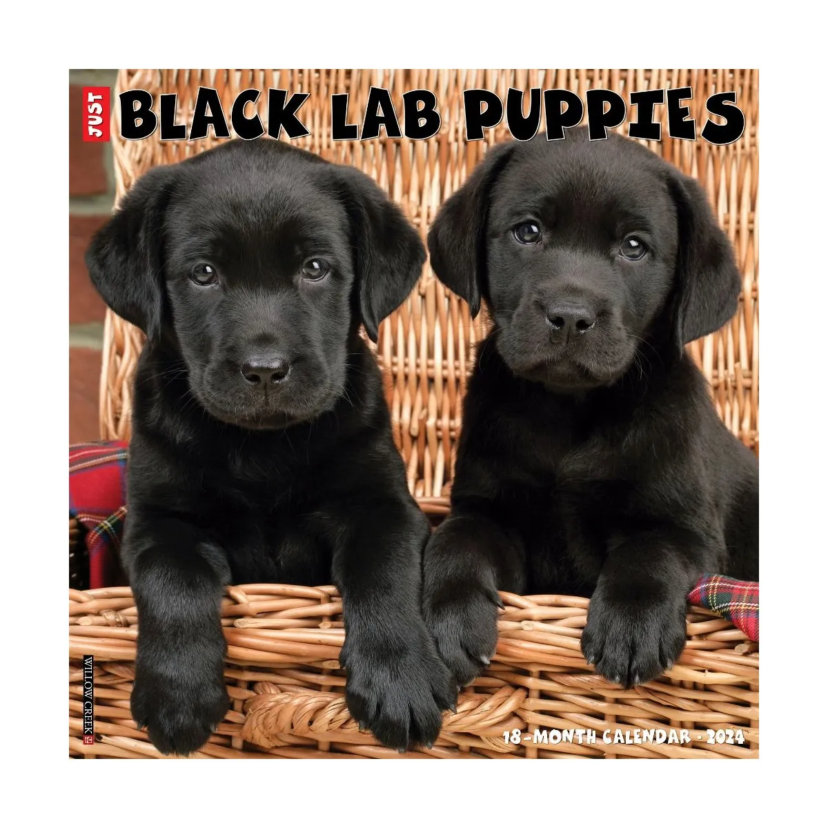 Just Black Lab Puppies 2024 Wall Calendar