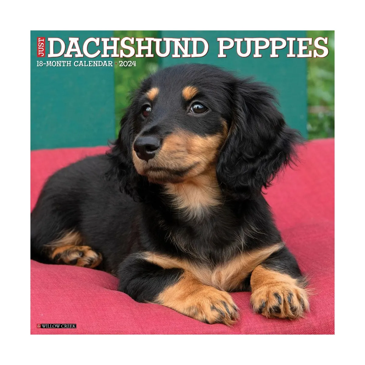 Just Dachshund Puppies 2024 Wall Calendar