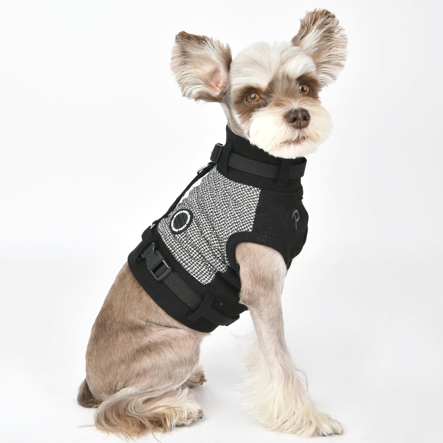 Gaspar Pullover Jacket Dog Harness by Puppia ... | BaxterBoo