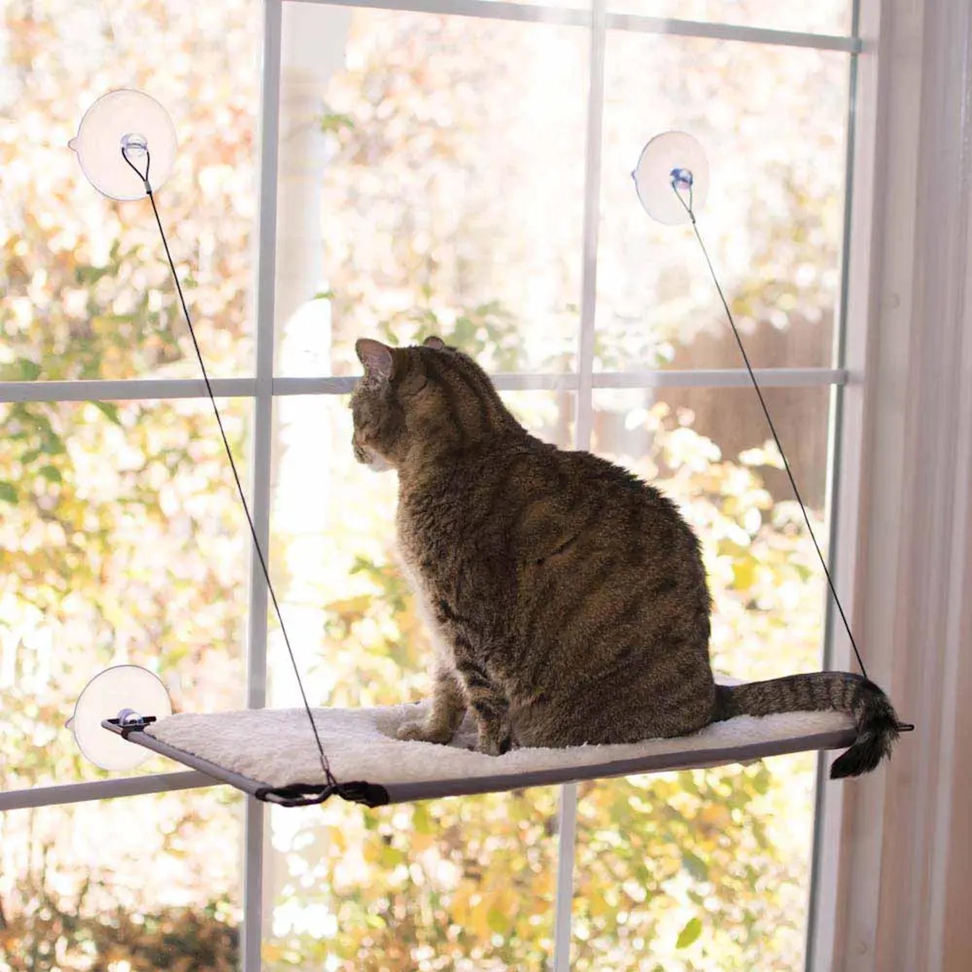 K&H Window Lounger Cat Perch Natural - Single