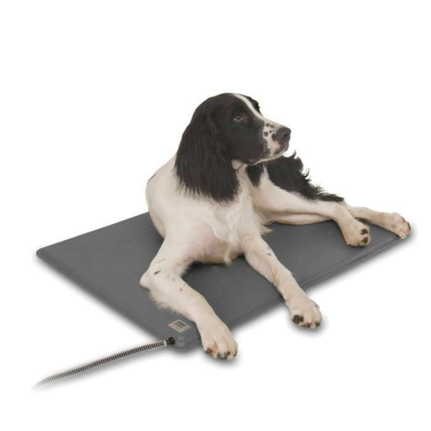 Dog Medical and Mobility products