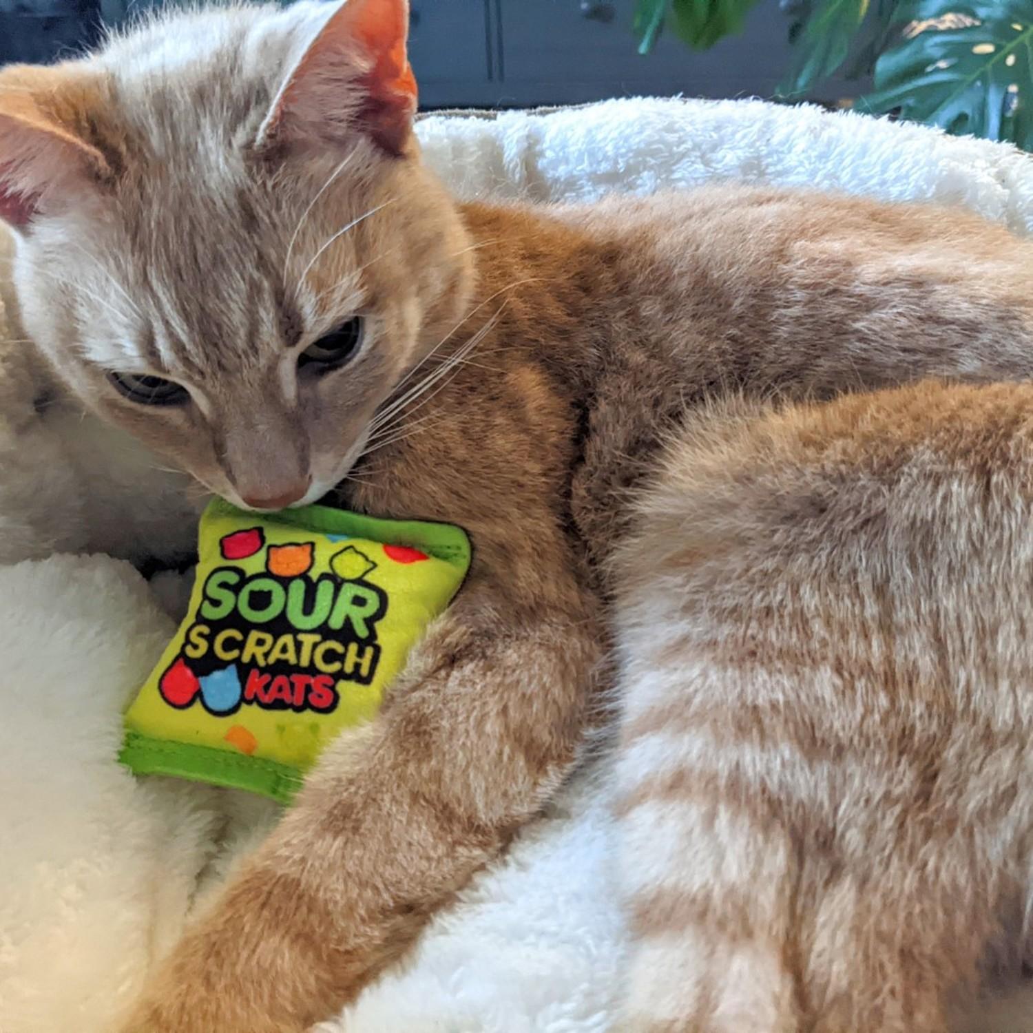 Kittybelles Food Plush Cat Toy - Sour Scratch