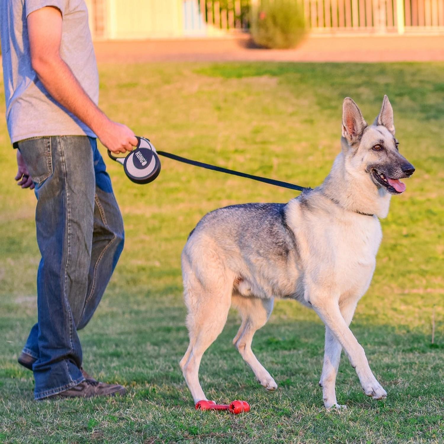 kong ultimate retractable dog leash