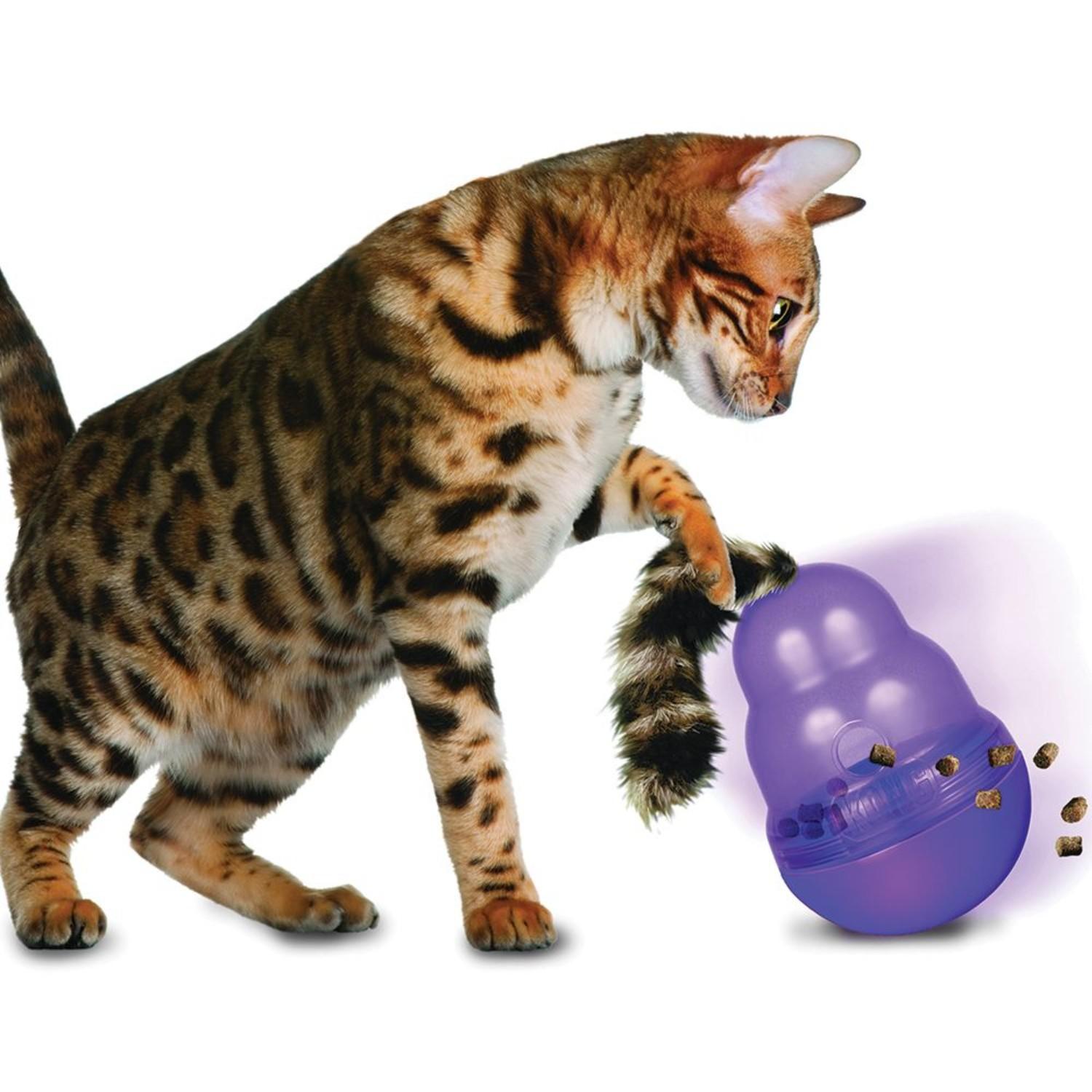 https://images.baxterboo.com/global/images/products/large/kong-wobbler-cat-toy-purple-1371.jpg
