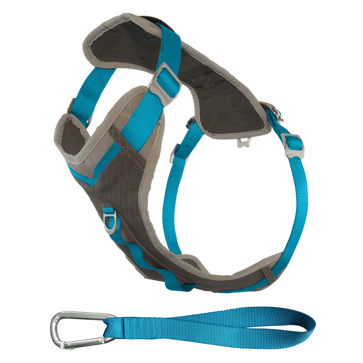 Kurgo Journey Dog Harness - Blue and Charcoal | BaxterBoo