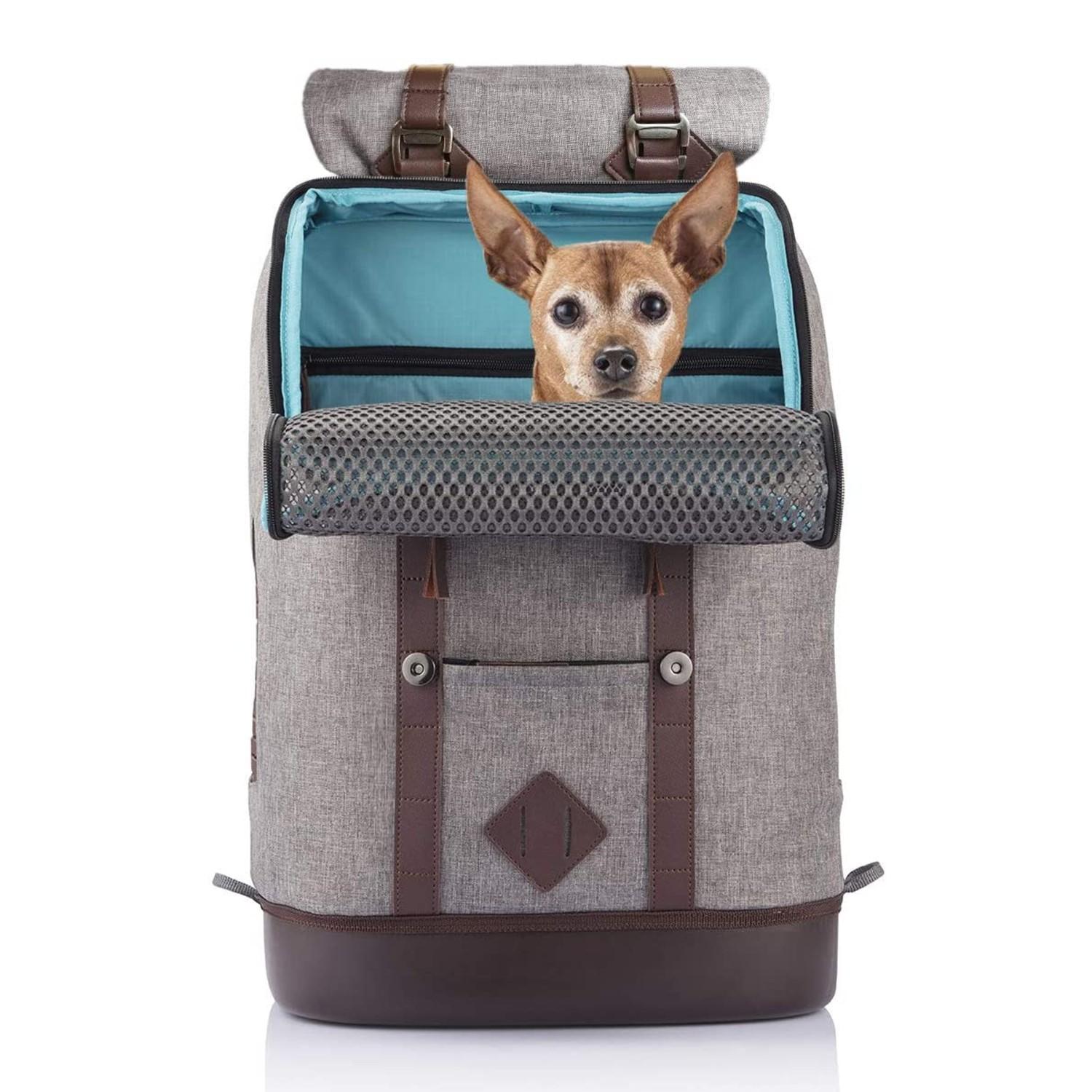 Kurgo Baxter Blue Dog Backpack, Medium