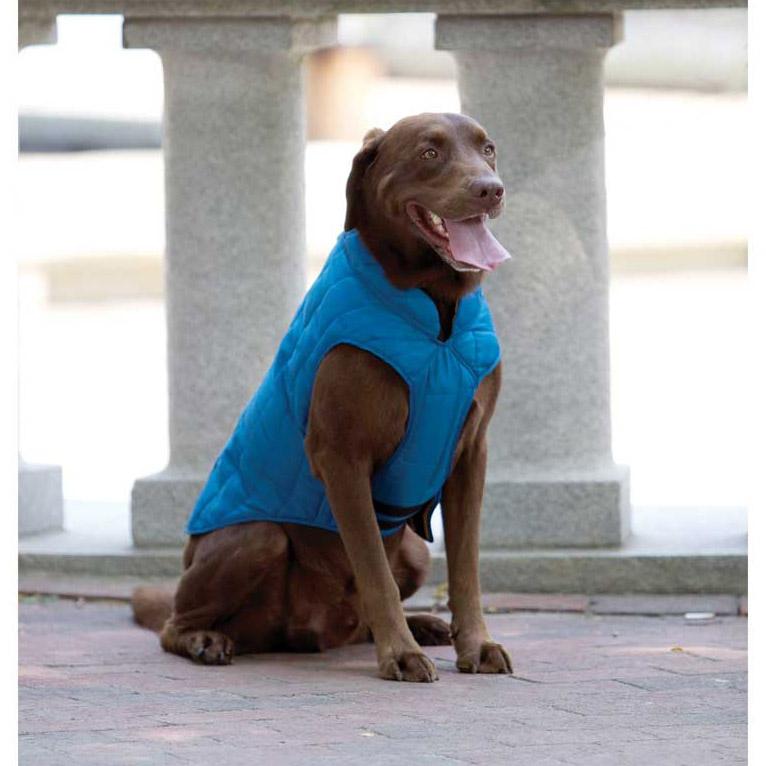 Kurgo Loft Reversible Dog Jacket - Blue and Orange