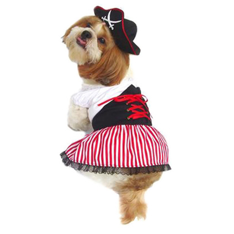 Puppe Love Lady Pirate Dog Costume