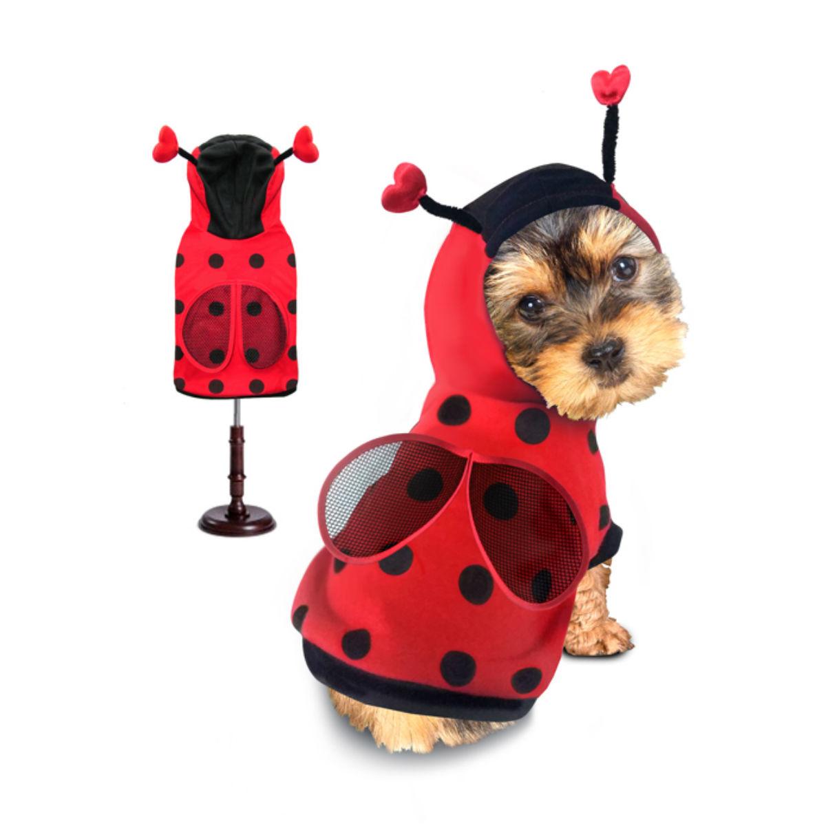 Puppe Love Ladybug Dog Costume