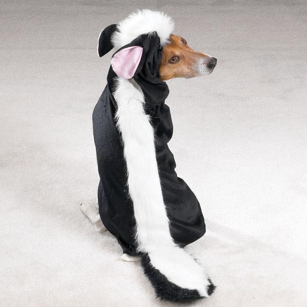 Casual Canine Lil' Stinker Skunk Dog Halloween Costume