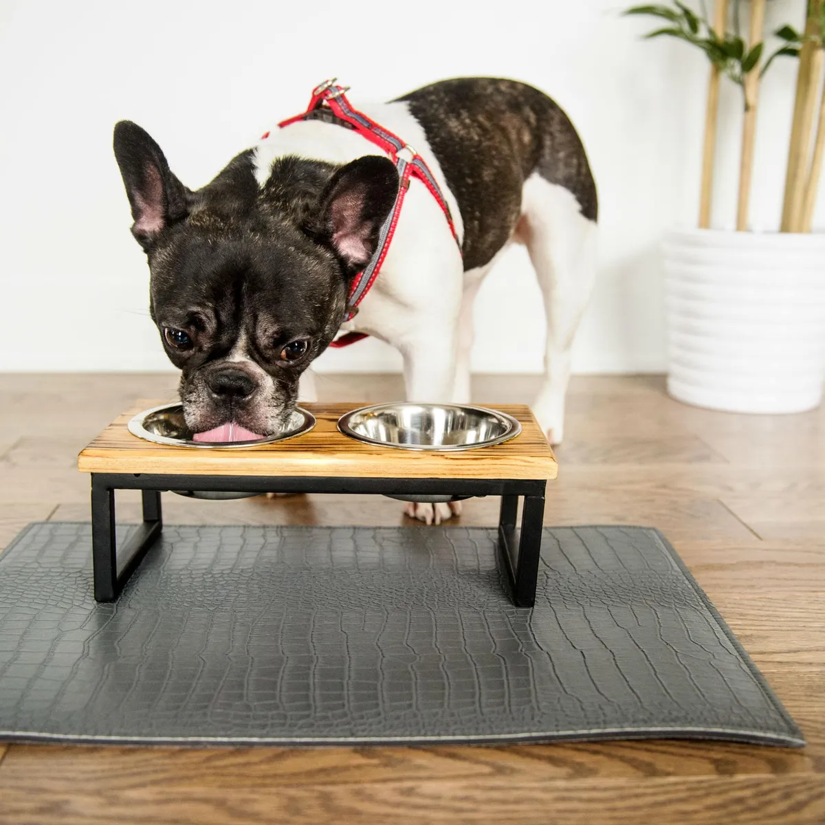 GF Pet Mango Wood & Metal Double Dog Feeder