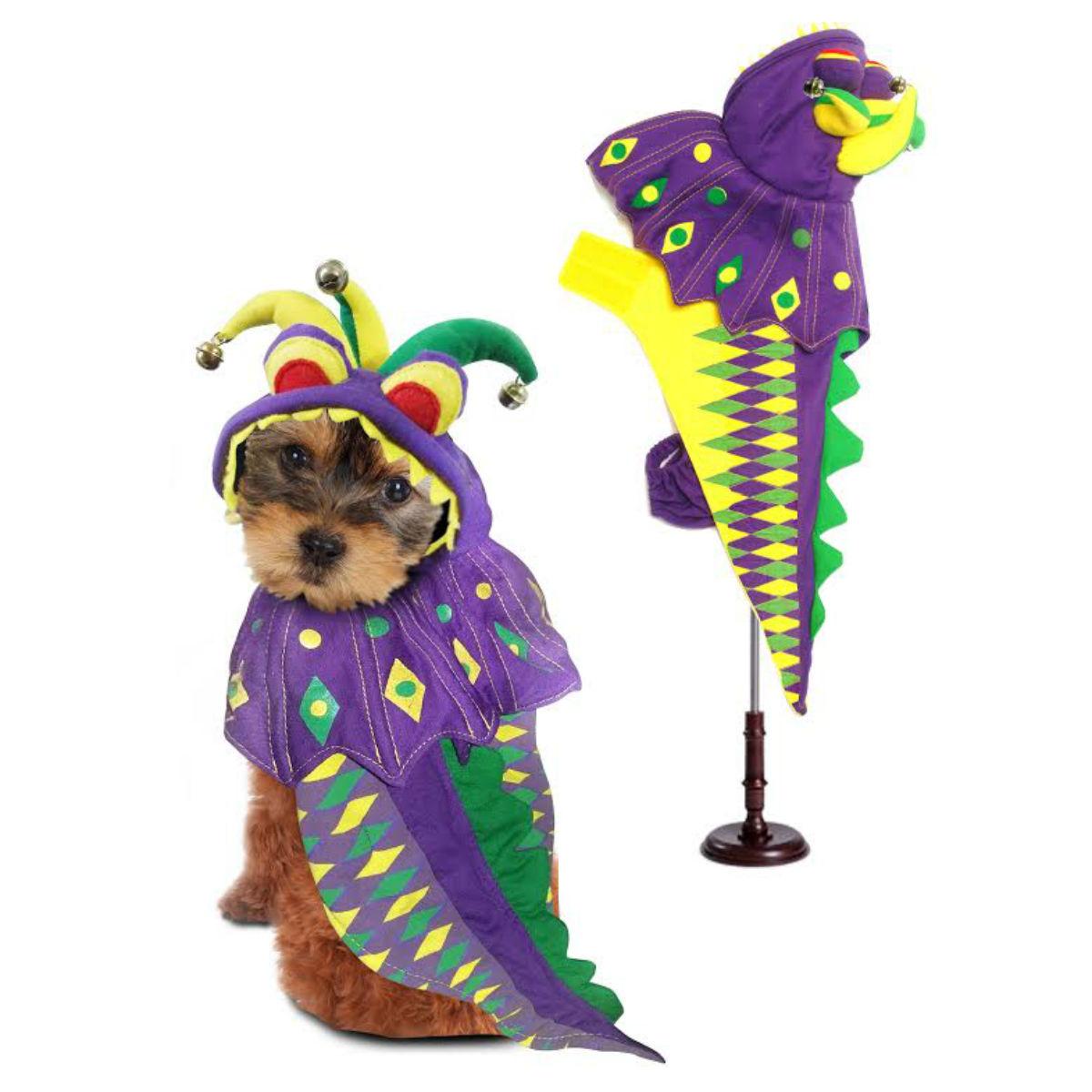 Puppe Love Mardi Paws Dragon Dog Costume