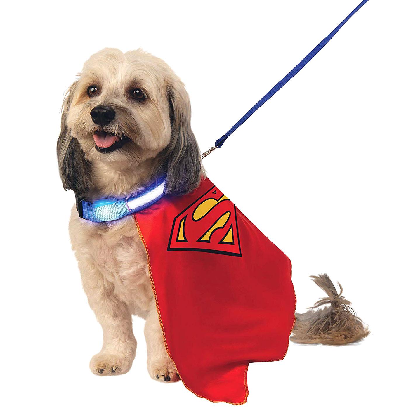 Superman Dog Cape with Light Up Collar and Leash