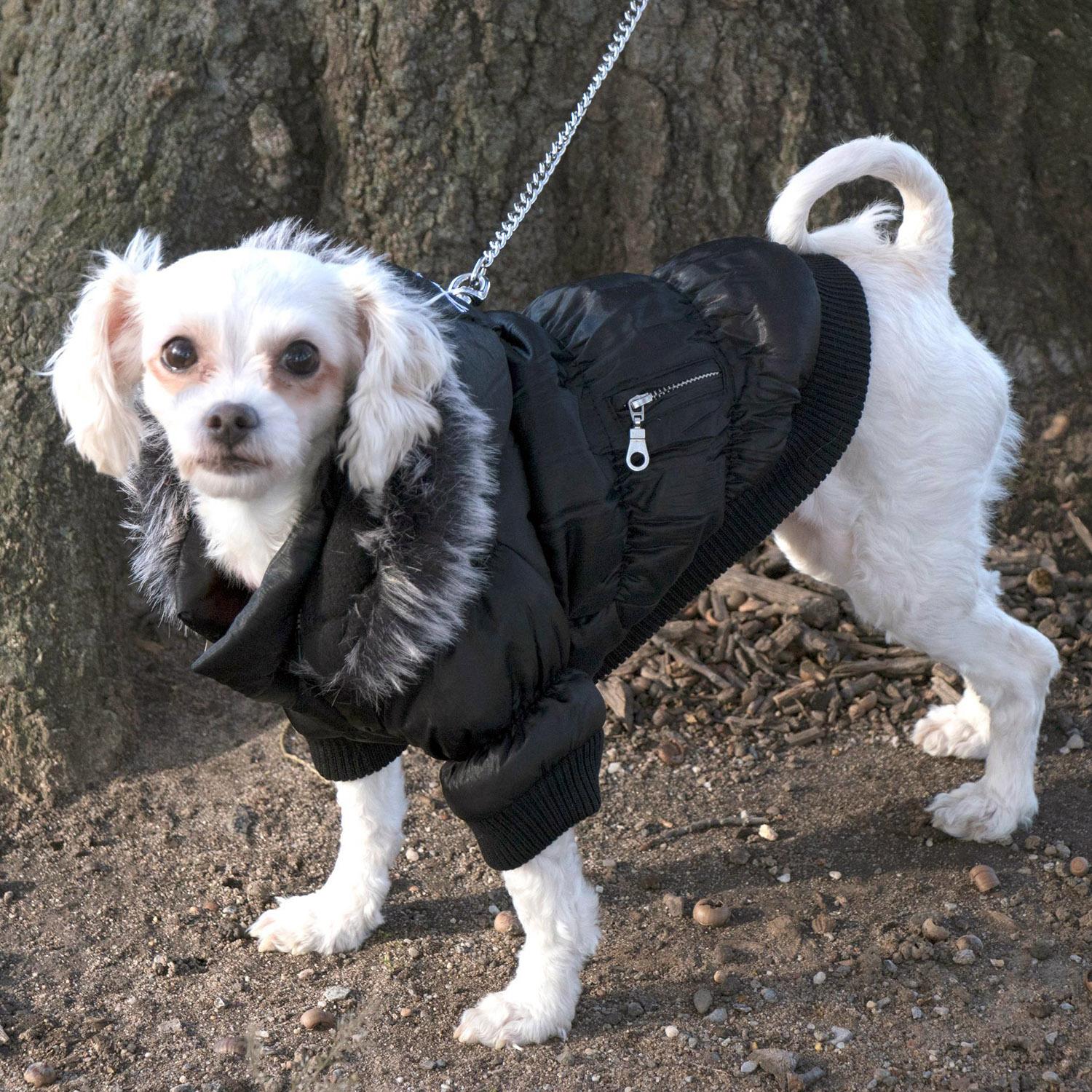 baxterboo dog coats