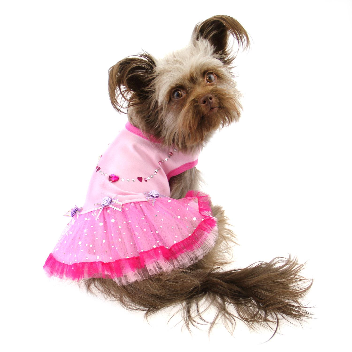 Pooch Outfitters Mia Party Dog Dress