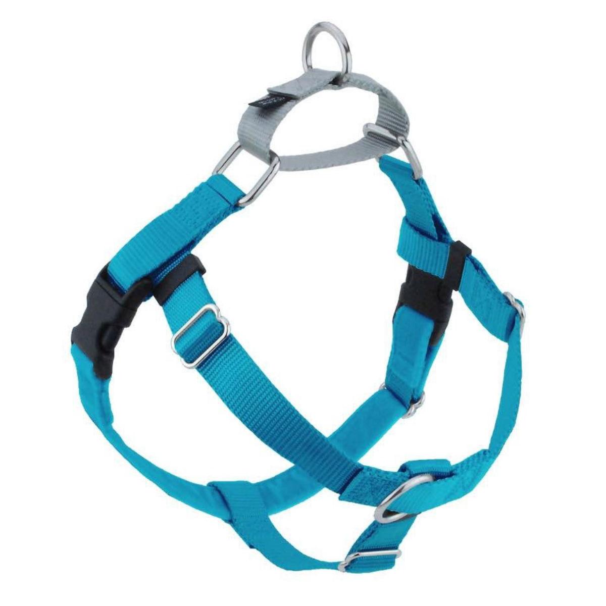 2 Hounds Design No-Pull Dog Harness Deluxe Training Package - Turquoise and Silver