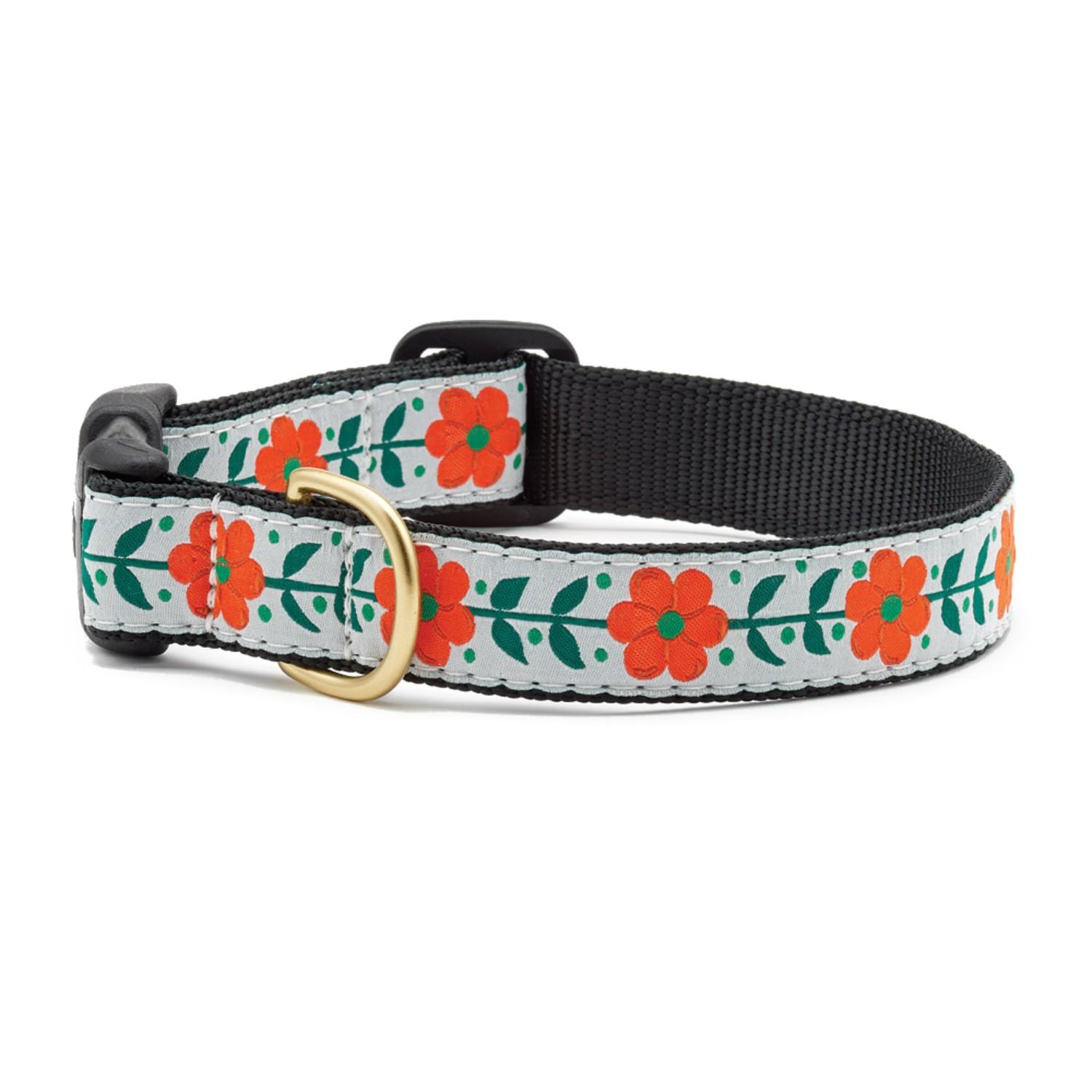 Orange You Pretty Dog Collar by Up Country
